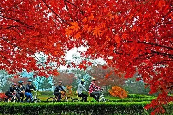 浙江宁波四明山森林公园深秀谷景点介绍2