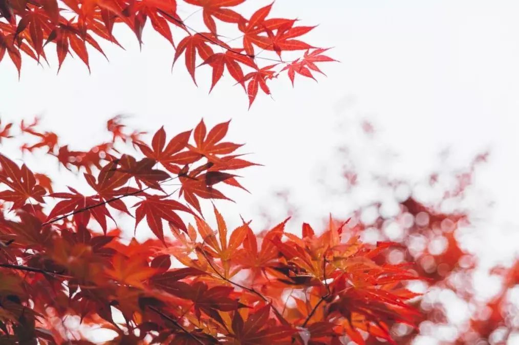 浙江宁波四明山森林公园深秀谷景点介绍3