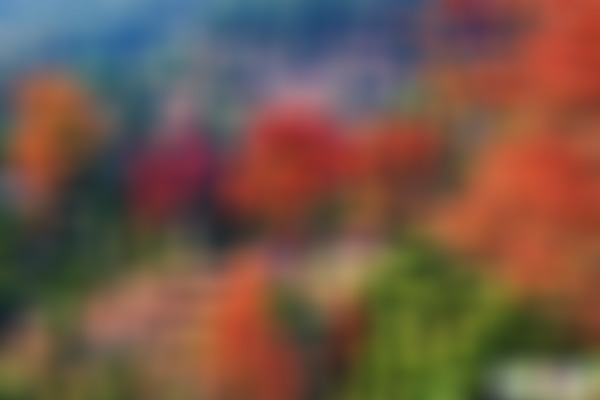 浙江金华六洞山栖真寺景点介绍1