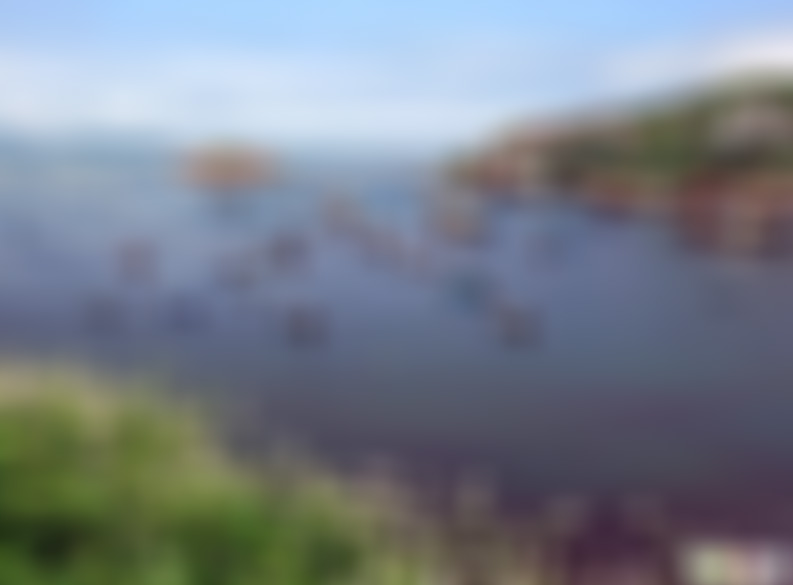 浙江舟山嵊山枸杞岛景点介绍1