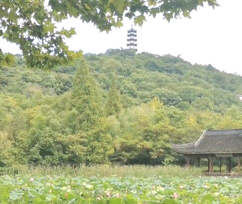 浙江绍兴西施故里鸬鹚湾古渔村景点介绍1