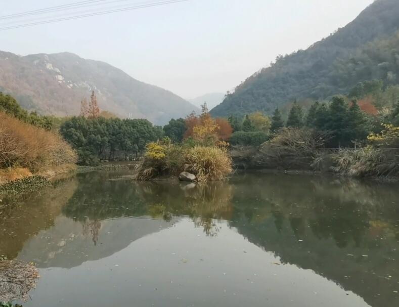 浙江舟山东海大峡谷国家森林公园景点介绍1