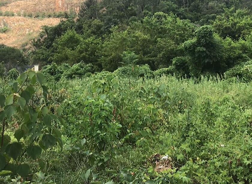 浙江宁波寿昌公园陈寿昌烈士纪念馆景点介绍1