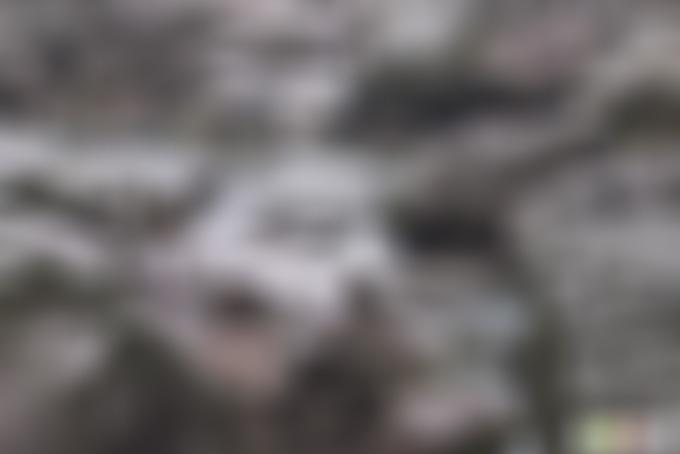 浙江温州玉苍山法云寺景点介绍1