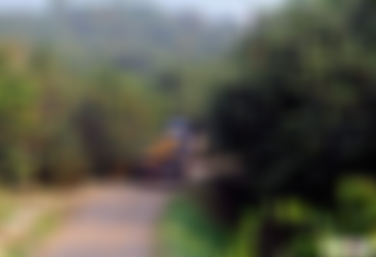 浙江台州华顶山王羲之墨池景点介绍1