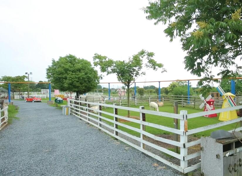 浙江温州杨府山公园(城市公园)景点介绍1