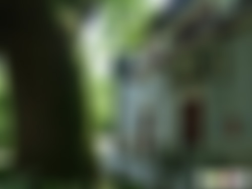 浙江绍兴东白湖香榧森林公园景点介绍1