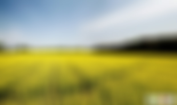 浙江嘉兴南北湖新四军海北支队旧址景点介绍1