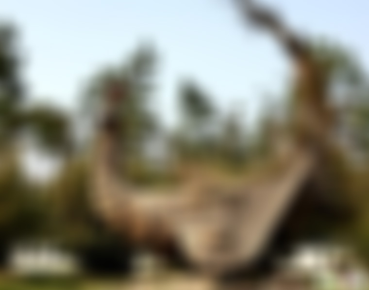 浙江湖州金钉子远古世界景区(国家4A级)景点介绍1