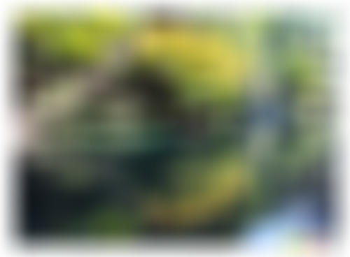 浙江丽水新兴新处峡漂流景点介绍1