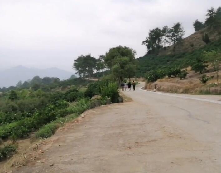 浙江丽水古市卯山森林公园景点介绍1