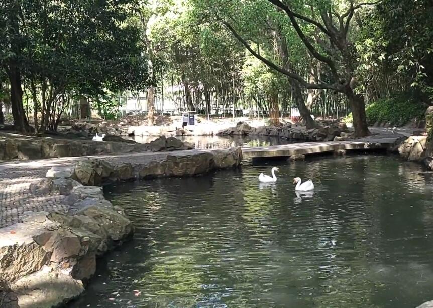 浙江台州大溪流庆寺景点介绍1