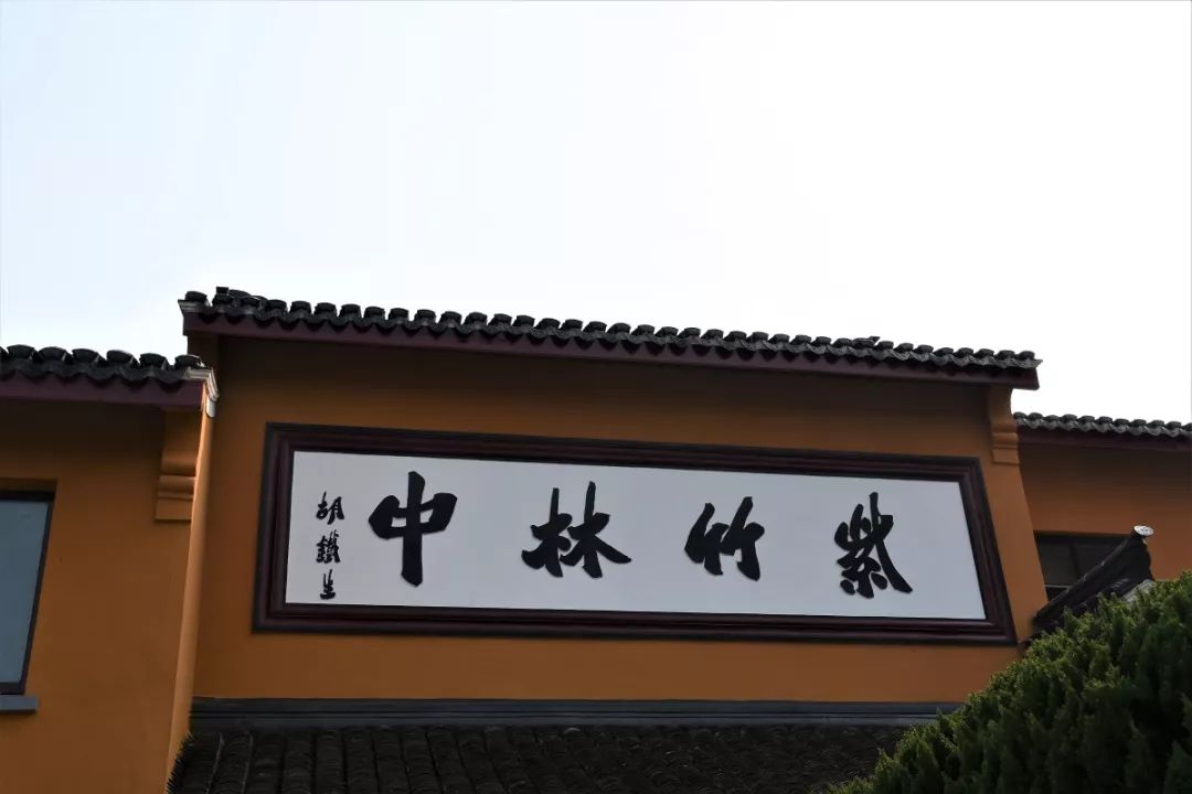 浙江舟山普陀山紫竹林景区景点介绍1