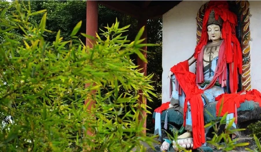 浙江舟山普陀山紫竹林景区景点介绍2