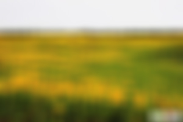 浙江杭州湘湖定山花海香田景区景点介绍1