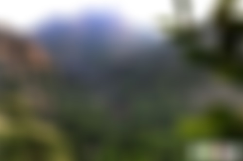 浙江舟山普陀山法雨寺景点介绍1