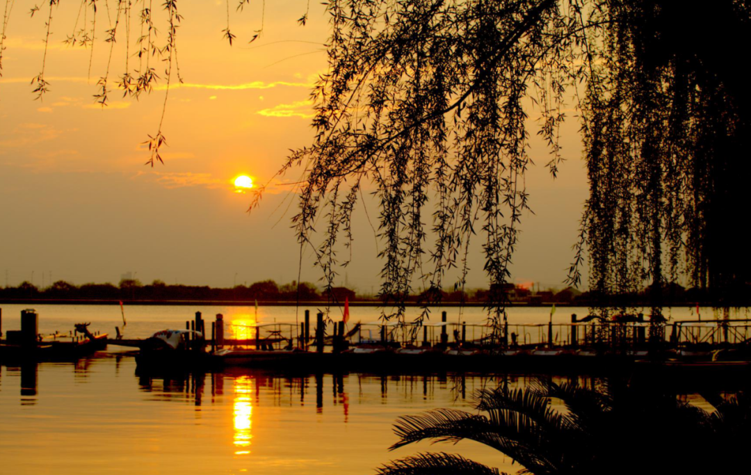 浙江宁波东钱湖陶公岛(国家2A级)景点介绍1
