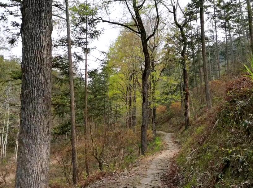 浙江宁波五龙潭观顶湖景点介绍1
