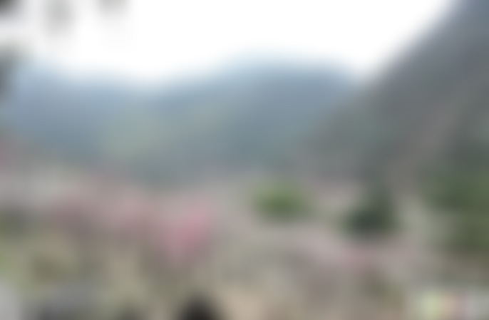 浙江宁波九峰山网岙景区景点介绍1