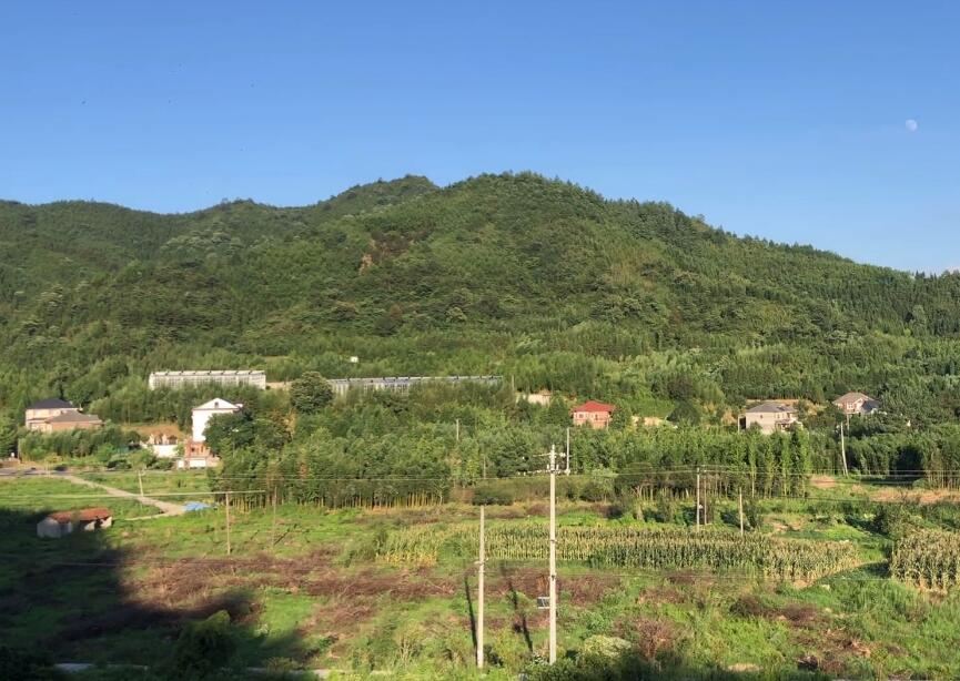 浙江温州南塘白鹿洲公园景点介绍1