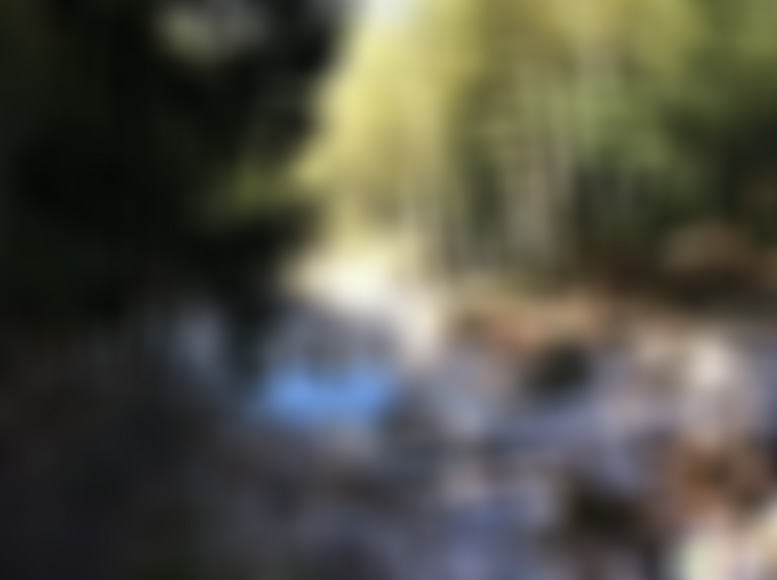 浙江温州楠溪江香樟花园景点介绍1