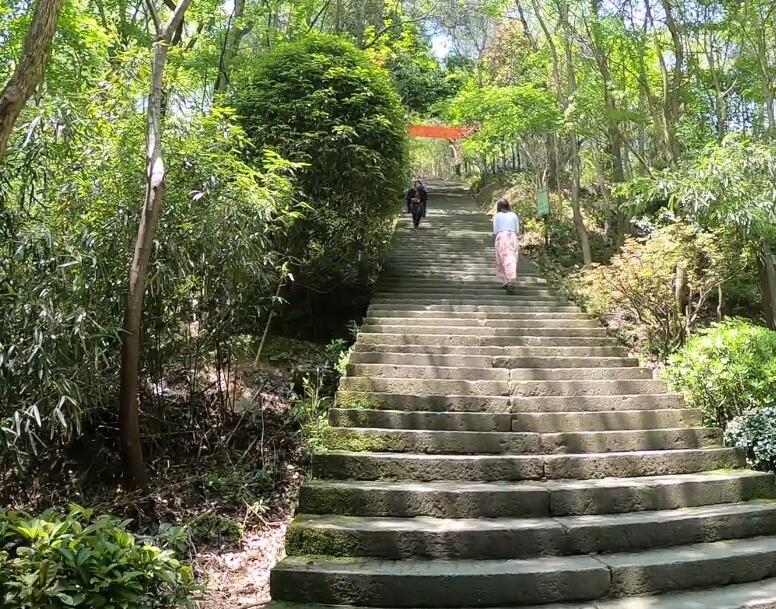 浙江丽水大山峰森林公园(国家2A级)景点介绍1