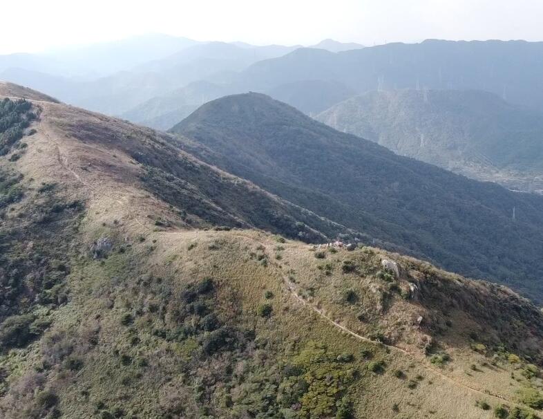 浙江宁波王家山天下第一桃园景点介绍1