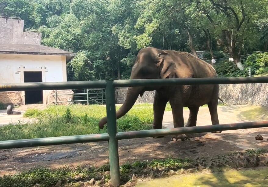 浙江湖州莫干山葛岭仙境景点介绍1