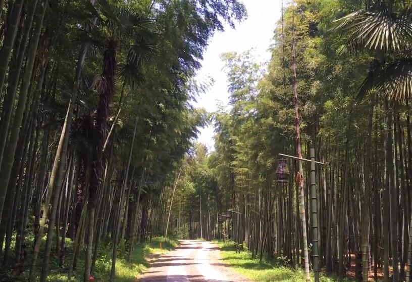 浙江宁波范市方家河头千年古村景点介绍1