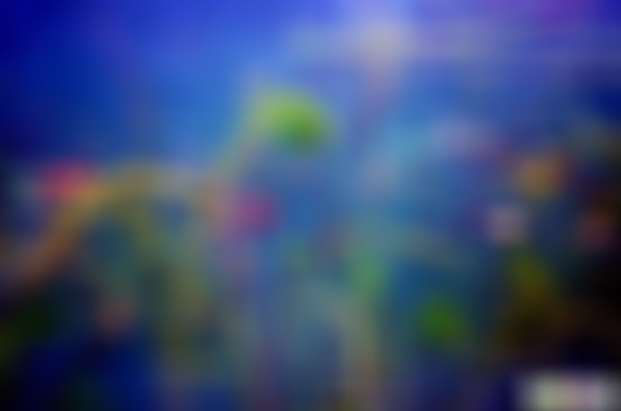 浙江杭州良渚美丽洲公园景点介绍1