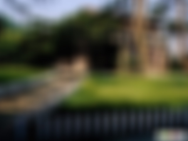 浙江丽水神龙谷景区(国家4A级)景点介绍1