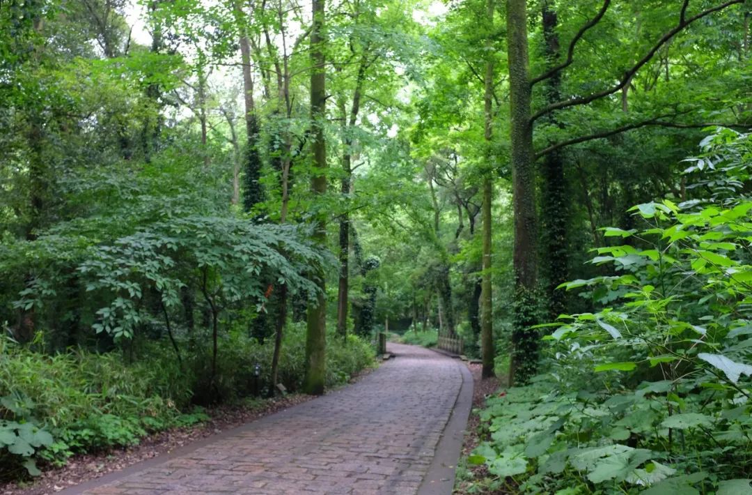 浙江宁波九峰山瑞岩景区景点介绍1