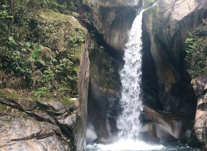 浙江温州白石凤凰山景点介绍1