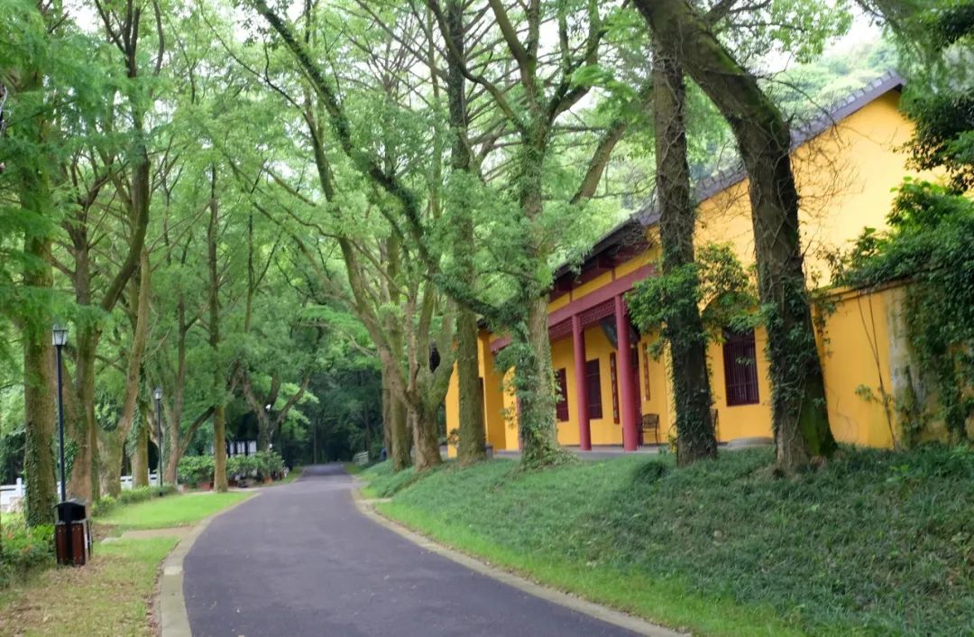 浙江宁波九峰山瑞岩景区景点介绍2