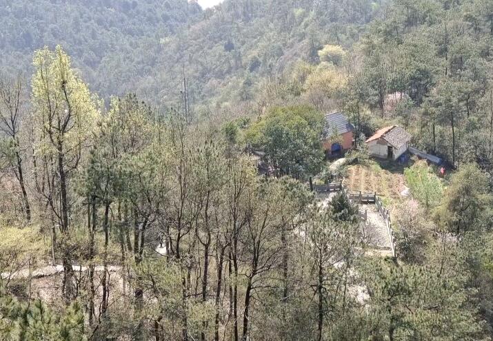 浙江杭州宋城步步惊心鬼屋景区景点介绍1