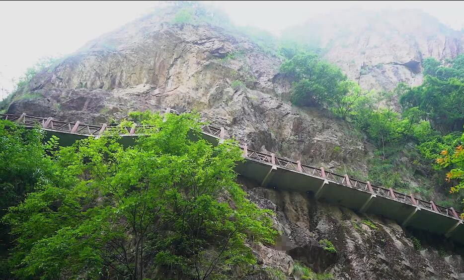 浙江嘉兴姚庄浙北桃花岛景点介绍1