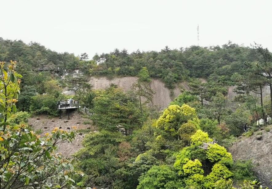 浙江温州江心屿温州革命烈士纪念馆景点介绍1