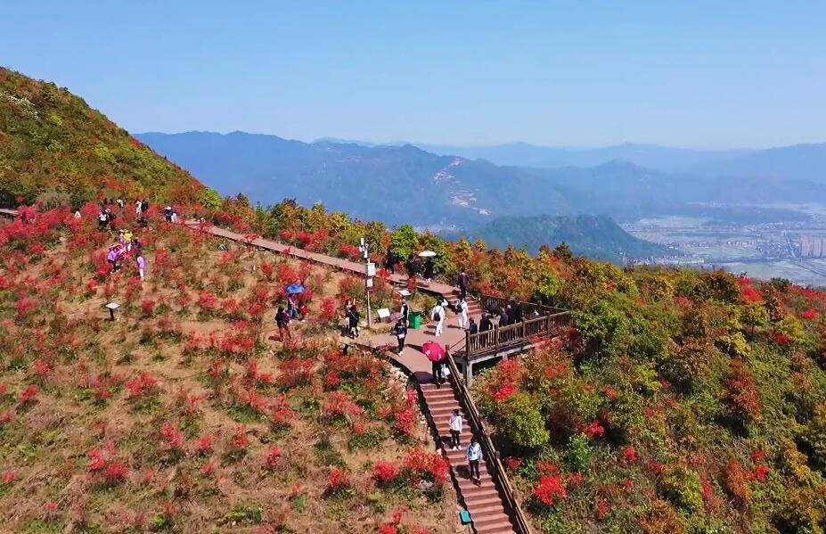 浙江温州马屿圣井山风景区景点介绍1