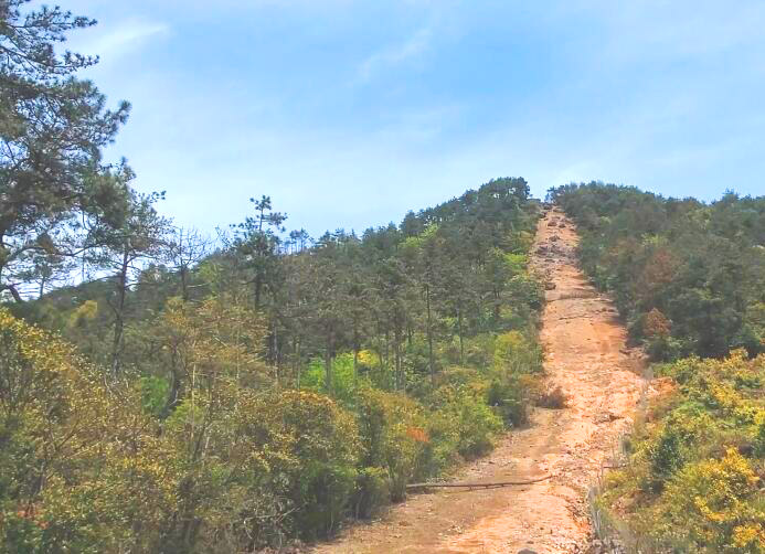 浙江温州楠溪江四海山森林公园景点介绍1