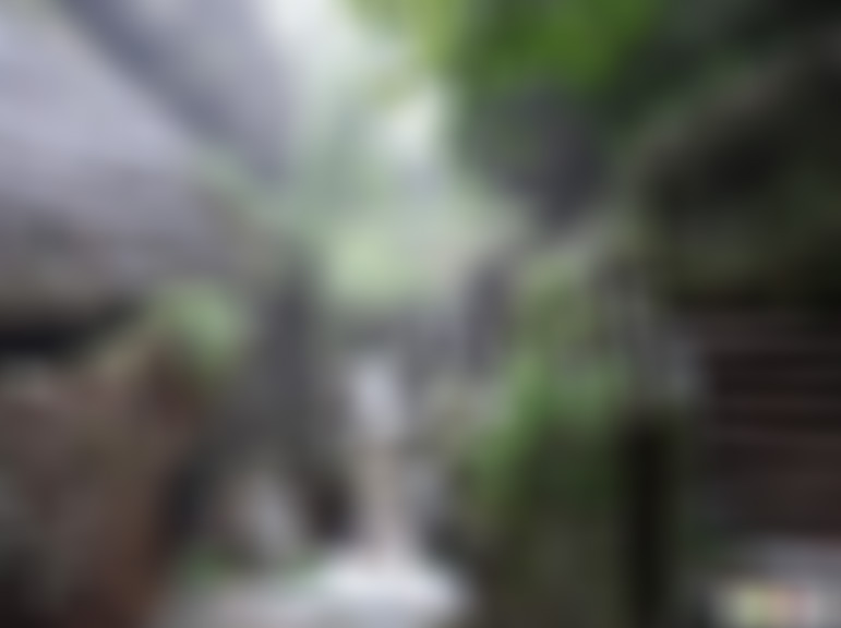 福建南平武夷山宾曦洞景点介绍1