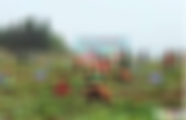 福建厦门李清泉别墅景点介绍1