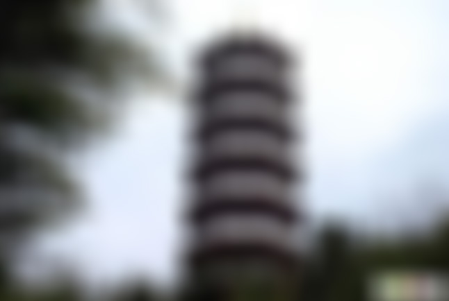 福建南平弥陀山峡谷景点介绍1