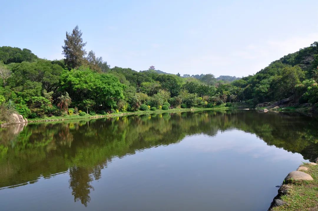 福建泉州泉州森林公园景点介绍2