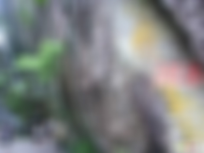 福建南平武夷山茶洞景点介绍1