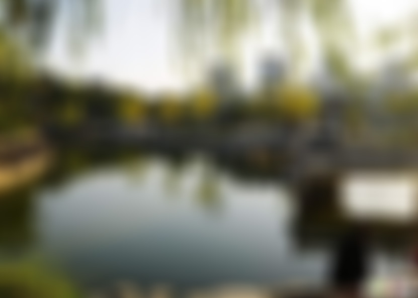 福建泉州鬼树湾景点介绍1