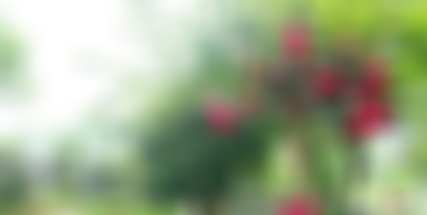 福建福州左海公园景点介绍1