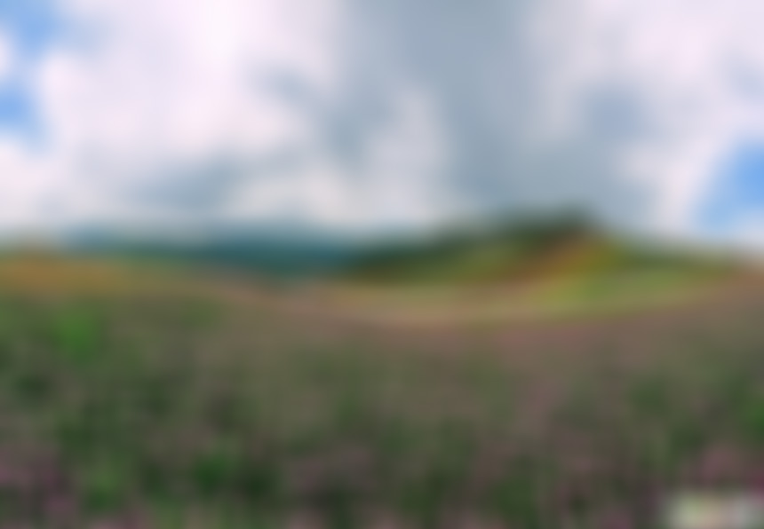 福建漳州玛琪雅朵花海景点介绍1