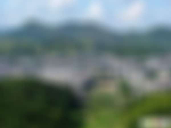 福建宁德塔岗禅寺景点介绍1