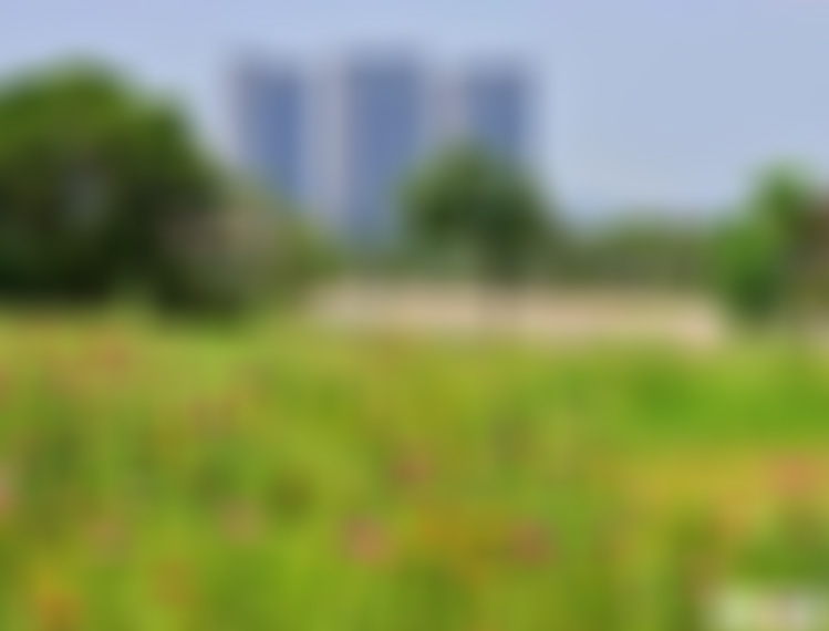 福建宁德八蒲龙井景点介绍1