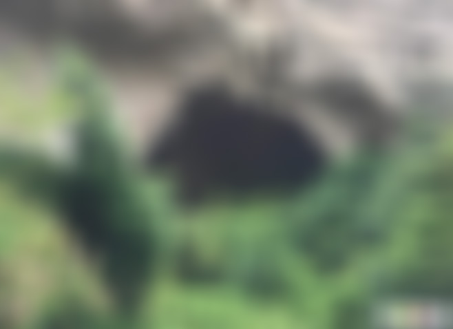 福建南平武夷山碧霄洞景点介绍1